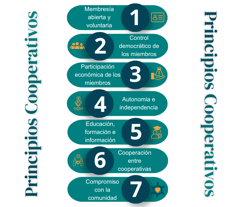 cintas pagina web